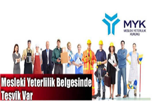 Mesleki yeterlilik